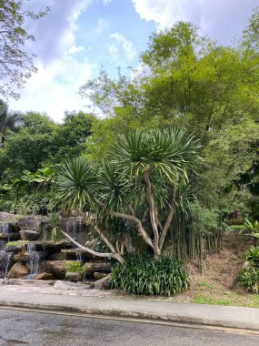 Malezya 'daki Perdana Botanik Bahçesi 