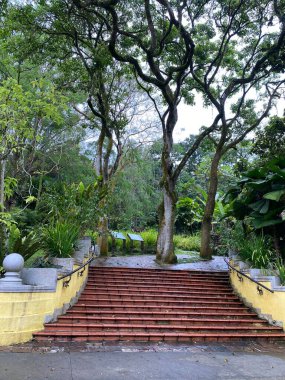 Malezya 'daki Perdana Botanik Bahçesi