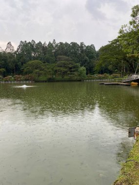 Malezya 'daki Perdana Botanik Bahçesi