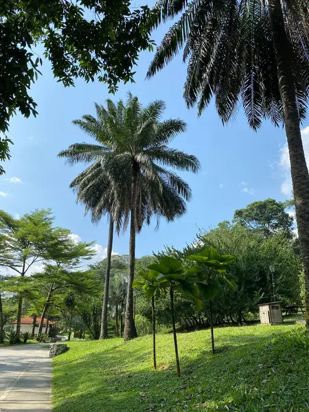Botanischer Garten Perdana Malaysia — Stockfoto