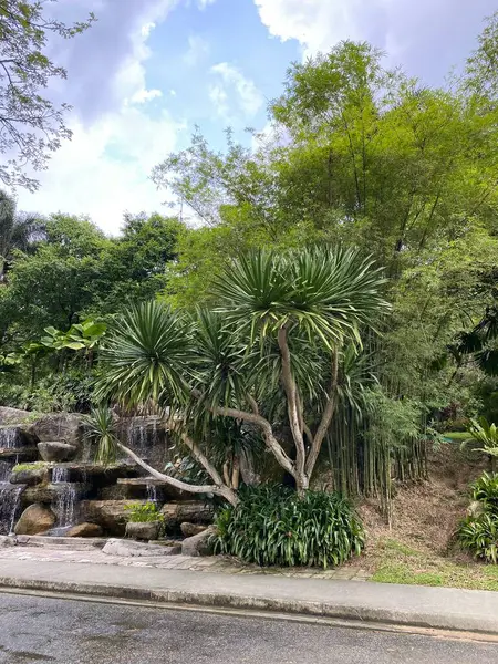 Malezya 'daki Perdana Botanik Bahçesi 