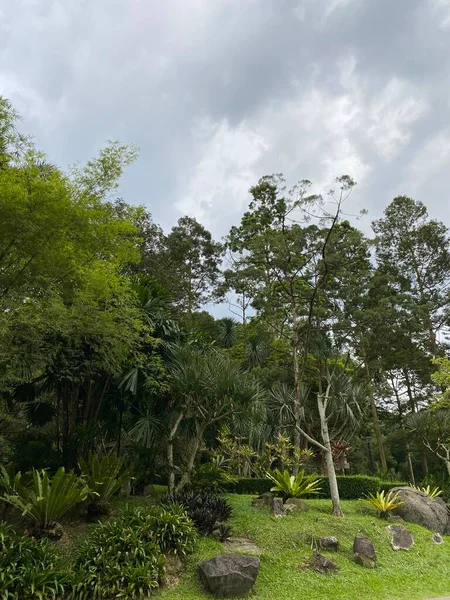 Jardin Botanique Perdana Malaisie — Photo