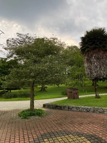 Jardim Botânico Perdana Malásia — Fotografia de Stock