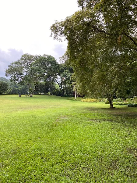 Jardín Botánico Perdana Malasia —  Fotos de Stock