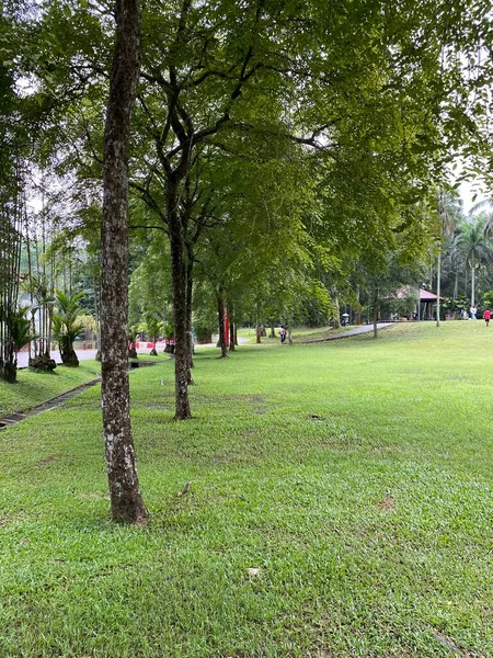 Malezya Daki Perdana Botanik Bahçesi — Stok fotoğraf