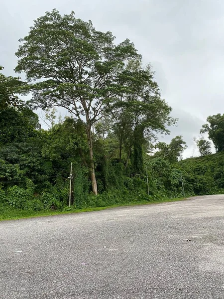 Malezya 'daki Perdana Botanik Bahçesi