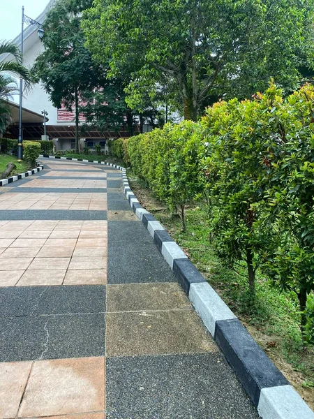 Ogród Botaniczny Perdana Malezji — Zdjęcie stockowe
