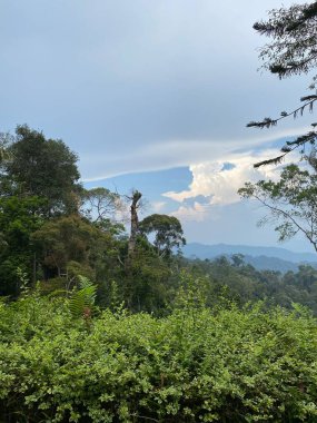 Dağları ve bulutları olan güzel bir manzara 