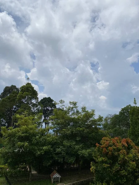 Malezya 'da colmar tropicale bukit tinggi