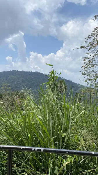 Malezya Colmar Tropicale Bukit Tinggi — Stok fotoğraf
