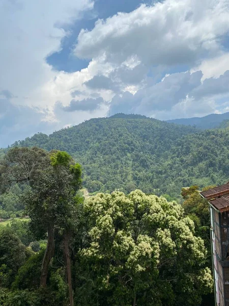 Malezya 'da colmar tropicale bukit tinggi