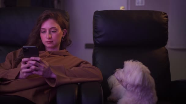 Beautiful Young Caucasian Woman Texting Armchair While Watching Television Dog — Vídeos de Stock