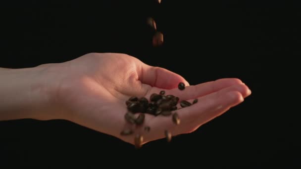 Caucasian Hand Catching Falling Coffee Beans Slow Motion Shot Arri — Stock Video