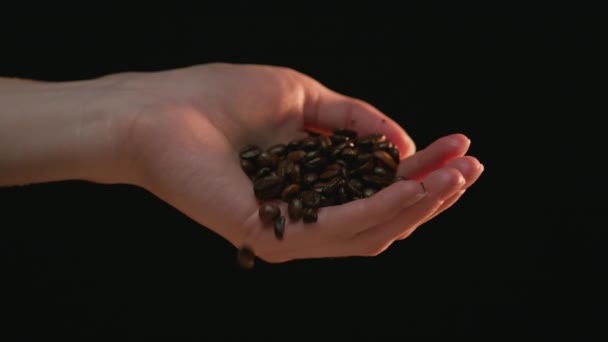 Кавказская Рука Сбрасывает Кофейные Зерна Медленное Движение Снимок Arri Alexa — стоковое видео