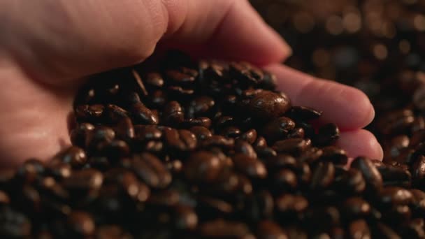 Caucasian Hand Scooping Coffee Beans Slow Motion Shot Arri Alexa — Stock Video