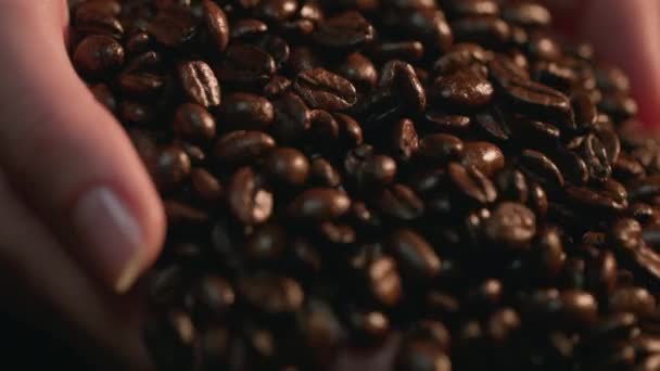 Blanke Handen Schrapen Koffiebonen Koffiebonenstapel Slow Motion Schot Met Arri — Stockvideo