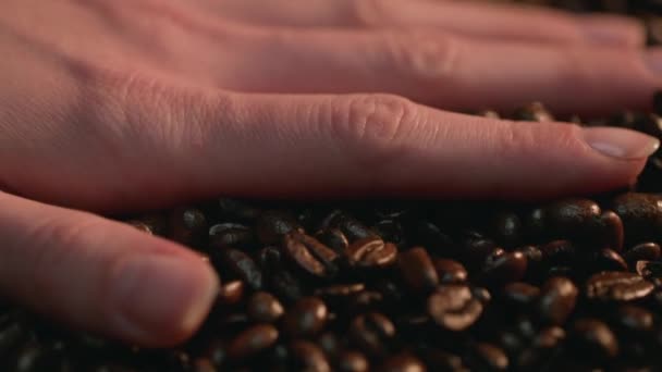 Kafkas Kahve Çekirdeklerini Eziyor Yavaş Hareket Arri Alexa Ile 120 — Stok video