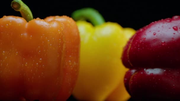 Nyligen Tvättad Gul Bell Pepper Avslöjade Bakom Orange Och Röd — Stockvideo
