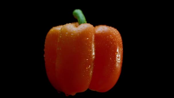 Čerstvě Umytá Paprika Oranžové Papriky Otáčí Pomalý Pohyb Shot Arri — Stock video