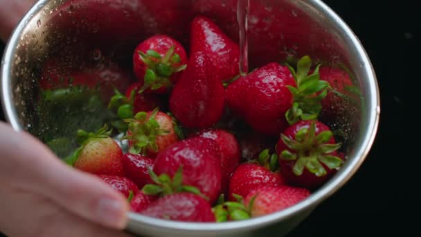 Caucasian Hands Holding Bowl Strawberries Running Water Slow Motion Inglés — Vídeo de stock