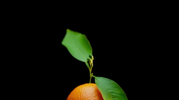 Biała Ręka Podnosząca Idealną Pomarańczę Ramkę Strzał Arri Alexa Arriraw — Wideo stockowe