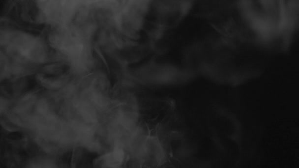 Varianty Rychlých Kouřových Švestek Stoupání Pomalý Pohyb Shot Arri Alexa — Stock video