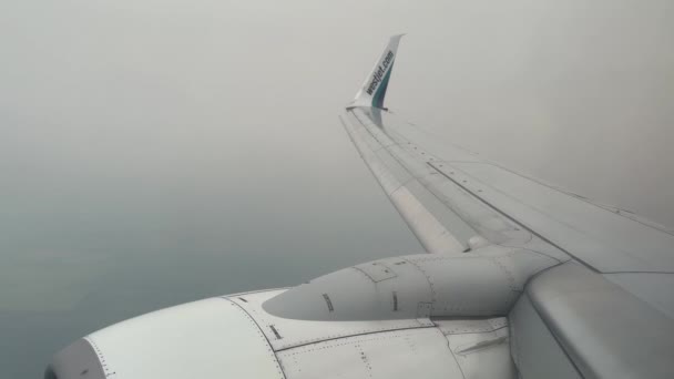 Calgary Alberta Canadá 2023 Ponto Vista Assento Janela Westjet 737 — Vídeo de Stock