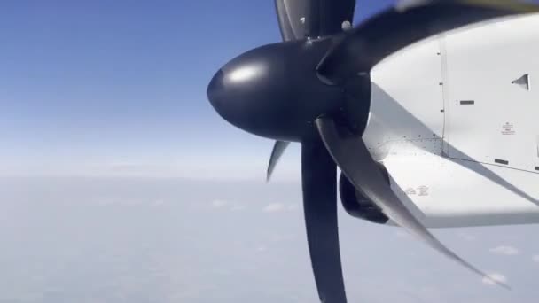 Калгарі Альберта Канада 2023 Westjet Airplane Propler Spinning Sky Знімок — стокове відео