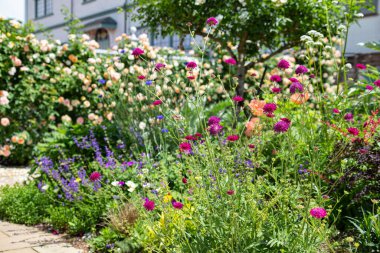 Çeşit çeşit kır çiçeklerinin açtığı manzara..