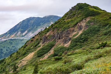 Shibu 'nun harika manzarası Japonya' da Shiga Kogen 'i geçiyor..