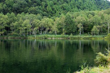 Shiga Highlands - Yazın erken saatlerinde Kido Gölü manzarası.