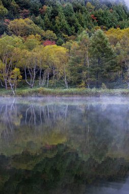 Kido Gölü 'ndeki sonbahar yaprakları sonbahar sabahı sisinin altında..