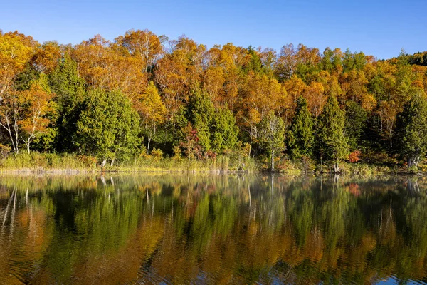 stock image Shiga Kogen Early morning view of autumn leaves at Kido Pond.