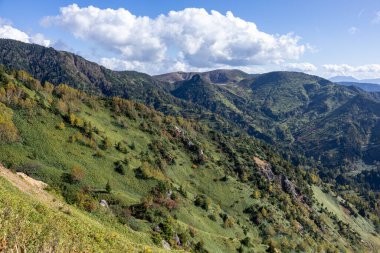 Shibu 'nun harika manzarası Japonya' da Shiga Kogen 'i geçiyor..