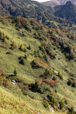 Shibu 'nun harika manzarası Japonya' da Shiga Kogen 'i geçiyor..