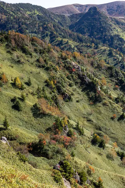 Underbar Spektakulär Utsikt Över Shibu Pass Shiga Kogen Japan — Stockfoto