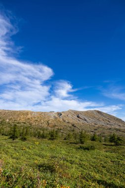Shiga Kogen Japonya 'daki Shibu Geçidi' nden Shirane Dağı 'nın muhteşem bir manzarası var..