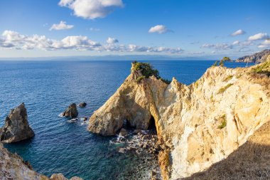 Izu Koganezaki 'nin at şeklindeki kaya oluşumları..