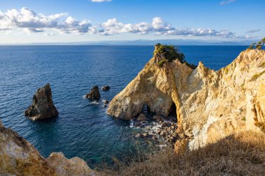 Izu Koganezaki 'nin at şeklindeki kaya oluşumları..