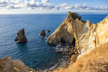 Izu Koganezaki 'nin at şeklindeki kaya oluşumları..
