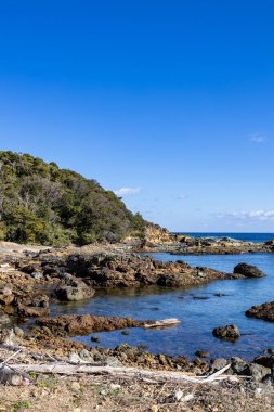 Izu Yarımadası 'ndaki güzel Tsumekizaki sahilinin manzarası.