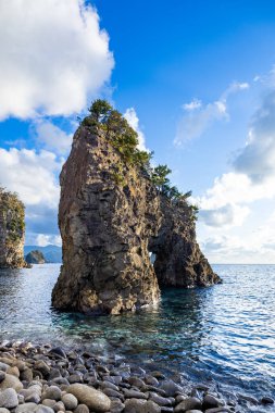 Nishiizu, Japonya 'daki Ushima kıyısındaki garip şekilli kayaların görüntüsü.