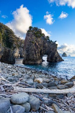 Nishiizu, Japonya 'daki Ushima kıyısındaki garip şekilli kayaların görüntüsü.