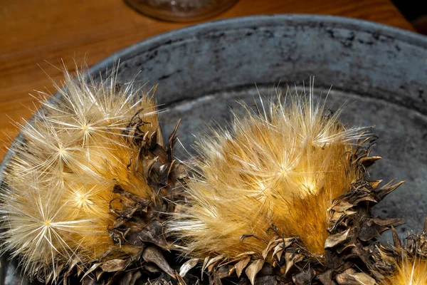 Close Golden Cardoon Seeds — Stock Photo, Image