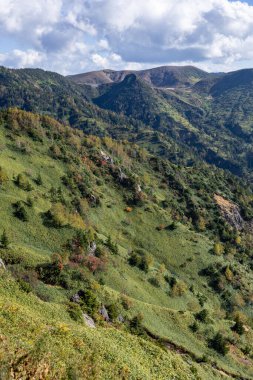 Shibu 'nun harika manzarası Japonya' da Shiga Kogen 'i geçiyor..