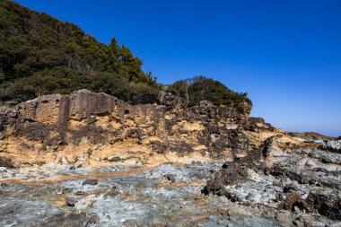 Izu 'nun Tsumekizaki kıyısındaki tuhaf şekilli kayaların manzarası..