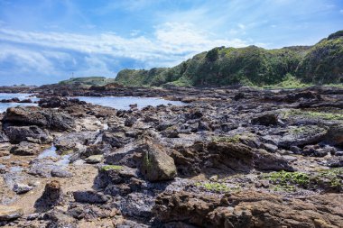 Izu 'daki Tsumekizaki sahilinin yaz başları manzarası.