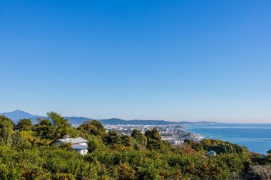 Odawara şehri Mandarin portakal tarlasından görüldü.