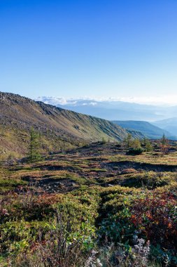 Kusatsu-Shirane Dağı 'nın güney eteklerindeki tepe manzarası.