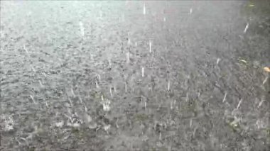 Şiddetli yağmur sırasında su damlacıklarının su birikintilerine düşüşünün videosu.